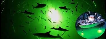LED underwater fish light LED underwater fish light